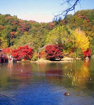 🏯 백수 아미타당(시라미즈 아미타도) 이미지 8